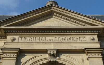 Mise en place à titre expérimental du Tribunal des activités économiques (TAE)